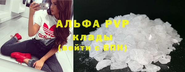 прущие грибы Богданович