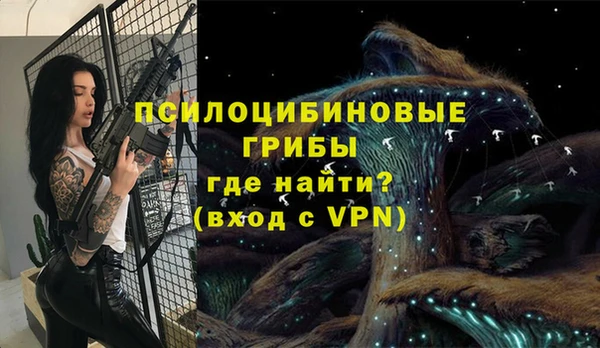 соль курить ск Бородино