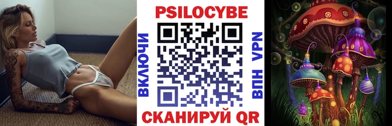 Псилоцибиновые грибы мицелий  наркота  Катайск 